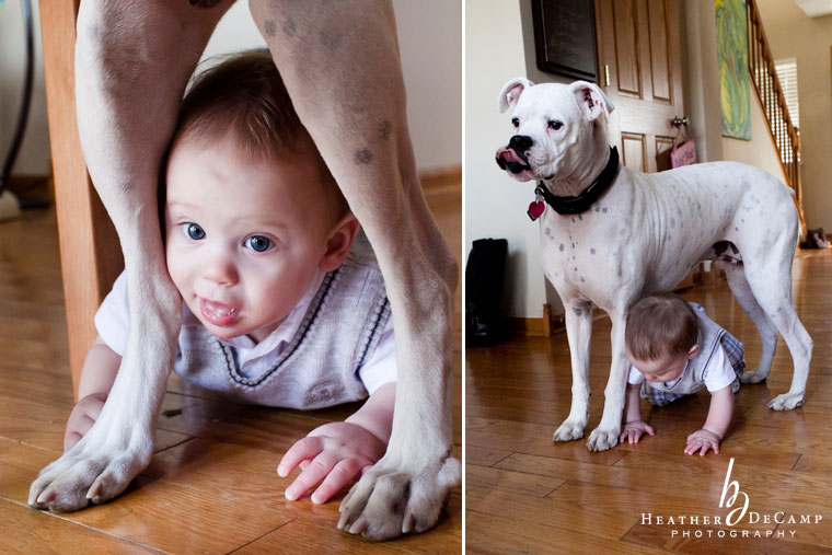 Naperville-Family-Photography family photographer in naperville