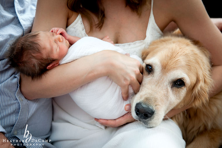 Heather DeCamp is a chicago wedding photographer, newborn photographer, and family photographer